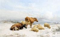 쿠퍼 토마스 시드니 겨울 양과 소 1863