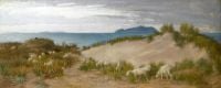 이탈리아 해안의 모래 언덕에서 방목하는 코르베 에디트 양