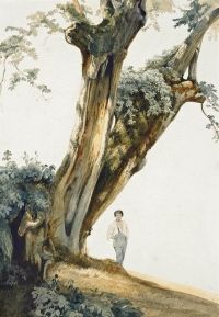دراسة كوستا جيوفاني للأشجار مع صورة مطبوعة على القماش