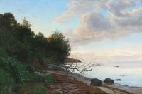 Janushof Die Küstenszene vom Strand von Moesgaard 1863
