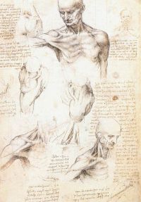 Da Vinci Anatomische Studien der Schulter 1509 10 Leinwanddruck
