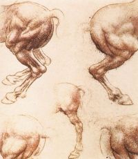 Da Vinci Study Of Horses canvas print