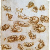 Hoja de estudio de Da Vinci con gatos dragón y otros animales