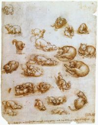Da Vinci Studienblatt mit Katzen, Drachen und anderen Tieren