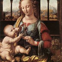Da Vinci The Madonna Of The Carnation