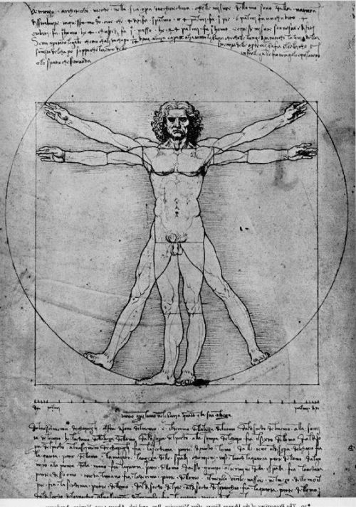 Da Vinci Vitruvian Man canvas print