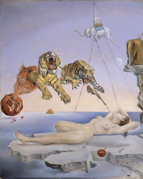 Dali Dream Caused By The Flight Of A Bee canvas print