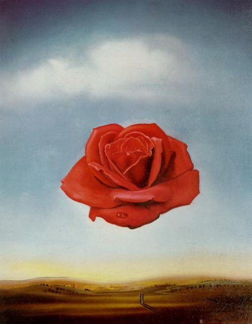 Dali Meditative Rose canvas print