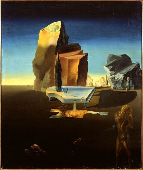 Dali Mysterious Source Of Harmony canvas print