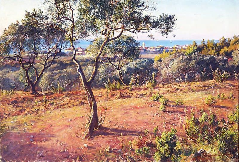 Danielson Gambogi Elin Olive Grove View From The Direction Of Villa Benvenuti Towards Antignano canvas print