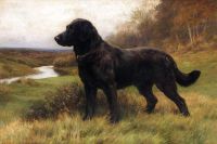 Dicksee Francis Bernard Alarmbereitschaft Ein schwarzer Labrador 1918
