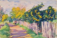 Dodge Macknight A Lane Through An Orange Grove Orihuela 1904 canvas print