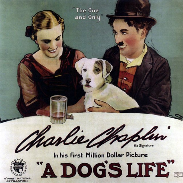 Dogs Life A 1918 1a3 영화 포스터 캔버스 프린트