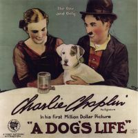 Dogslife1xs cartel de la película