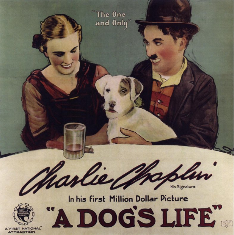 Impresión de la lona del cartel de la película de Dogslife1xs