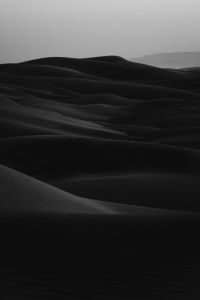 砂丘の黒と白のプリント