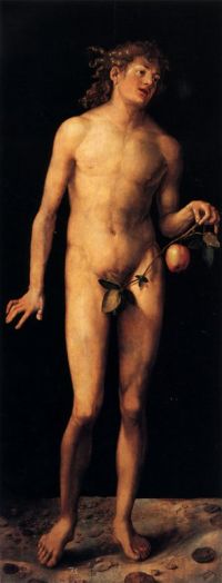 Dürer Adam