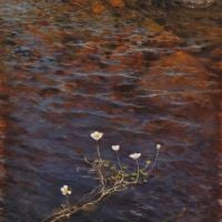 Eero Jarnefelt Pond Water Crowfoot - Pond Weed
