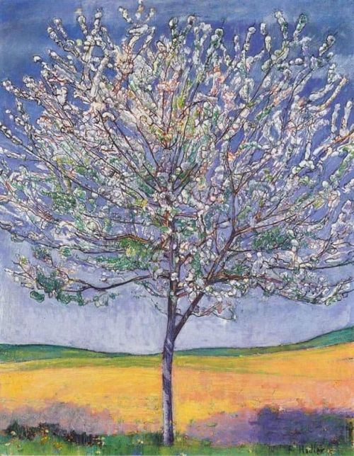 Ferdinand Hodler Cherry Tree In Bloom 1905 canvas print