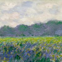 Veld van gele irissen door Monet