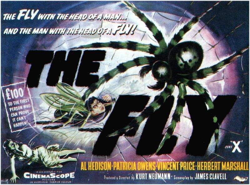 Poster del film Fly British 1958 stampa su tela