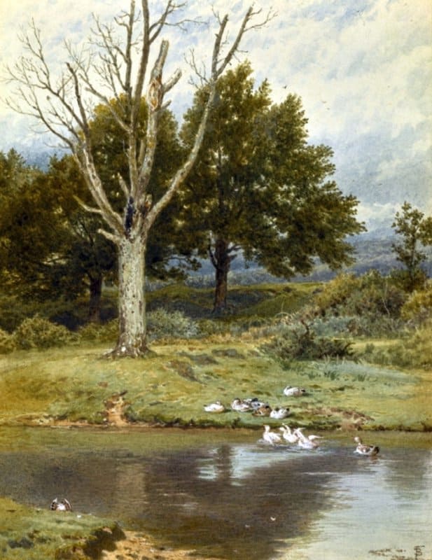 Tableaux sur toile, riproduzione de Foster Myles Birket Ducks On A River