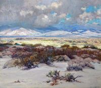 1919년 구름이 치솟는 서리 존 블루밍 사막