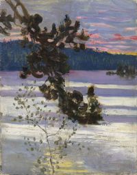 Gallen Kallela Akseli A Lake View 1905 Leinwanddruck