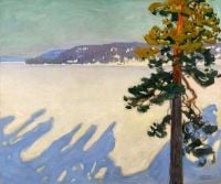 Gallen Kallela Akseli See Ruovesi im Winter 1916 Leinwanddruck