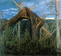 Gallen Kallela Akseli The Broken Pine 1906 canvas print
