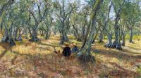 Gambogi Raffaello Among The Olive Trees canvas print