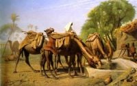 Gerome Kamele am Brunnen
