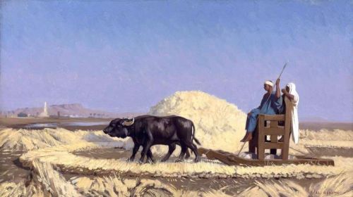 Gerome Jean Leon Egyptian Grain Cutters Ca. 1856 59 canvas print