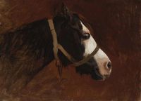 Gerome Jean Leon Profile Of A Horse