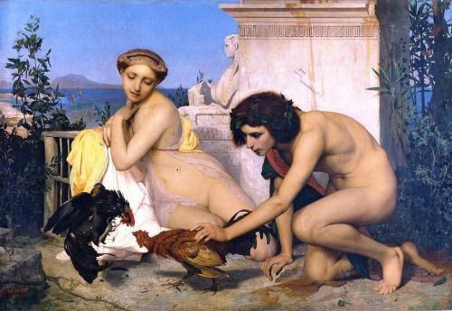 Gerome Jean Leon Young Greeks At A Cock Fight canvas print