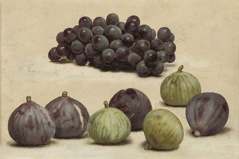 Godward John William Still Life Of Grapes And Figs Ca. 1912 canvas print