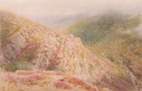 Goodwin Albert Heather Clad Hills Dartmoor 1879 canvas print