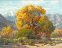 Grimm Paul Desert Tree canvas print
