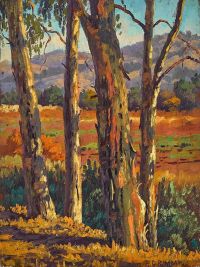Grimm Paul Summer Eucalyptus Landscape canvas print