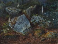 Grimshaw Arthur E Boulders In Storesforth Wood 1863 canvas print