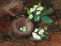 Grimshaw Arthur E Thrush S Nest Primroses Pear Blossom 1862 canvas print