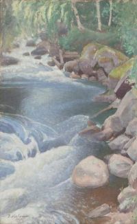 Halonen Pekka Kivikoski Rapids canvas print