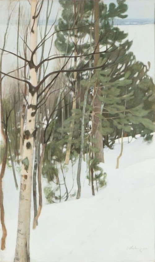 Halonen Pekka Winter Day canvas print