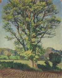 لوحة هارفي جيرترود شجرة الدردار عام 1927