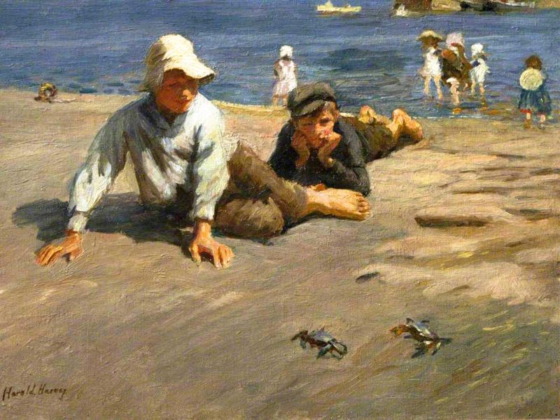 Harvey Harold Sport On The Shore - A Crab Race canvas print