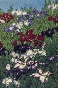 Hasui Kawase Iris - Ayame - 1929 Canvas Art Paint