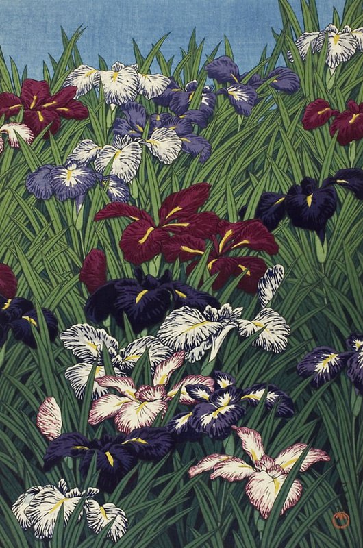 Hasui Kawase Iris - Ayame - 1929 Canvas Art Paint
