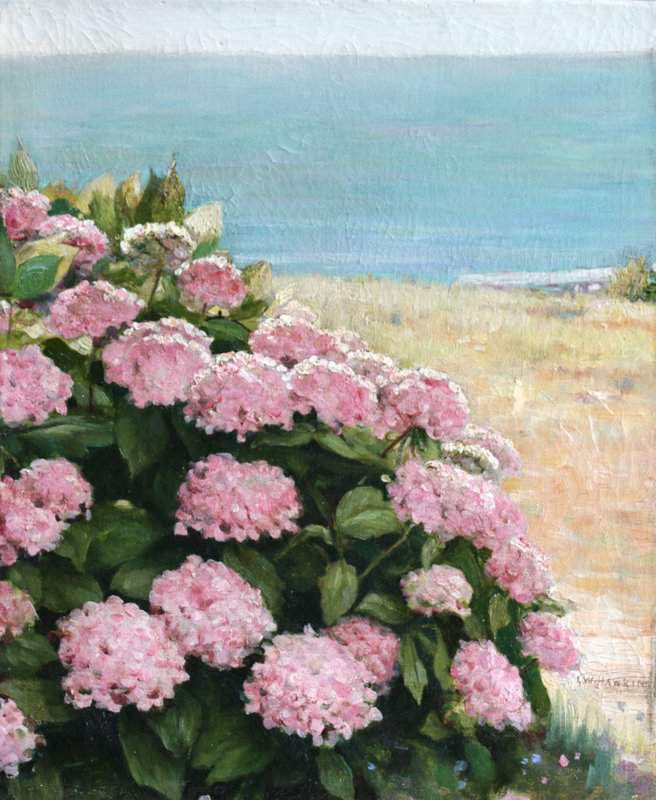 Hawkins Louis Welden Hortensias On The Coast Ca. 1890 canvas print