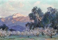 Hills Anna Althea Evening Glow Mount San Jacinto With Flowering Almond Trees 1916 canvas print