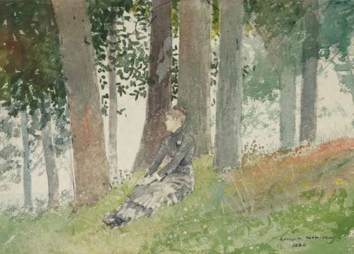 Homer Winslow Girl Seated In A Grove 1880 canvas print